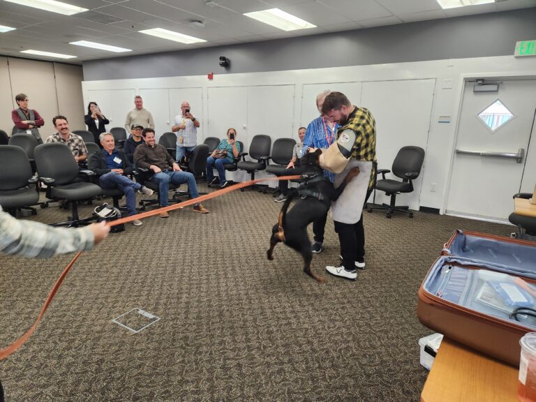 Dog Bite Prevention for Field Employees Essential Safety Guide for Outdoor Workers