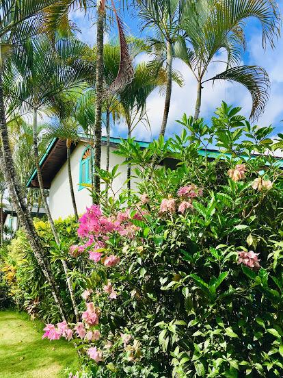 Villa Paradisiaca En Las Terrenas De Alquiler!!!