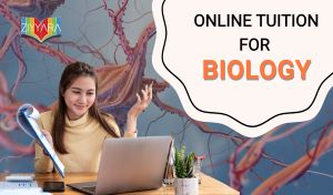 Online Tuition for Biology – Turn Tough Chapters into Easy Wins