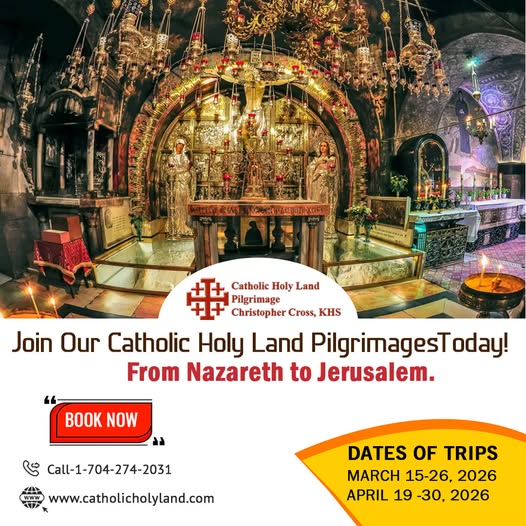 Safety Tips for Catholic Holy Land Tours Every Pilgrim Should Know