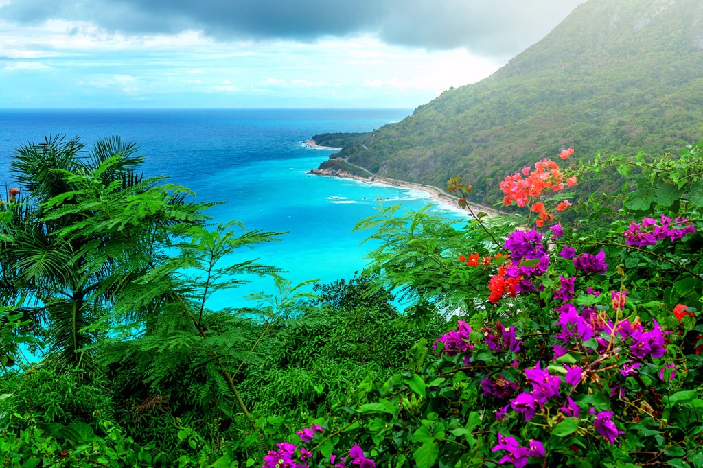 Terrenos En Lineas De Playa, Solares En La Ciudad Y Fincas En Venta! (Rd)