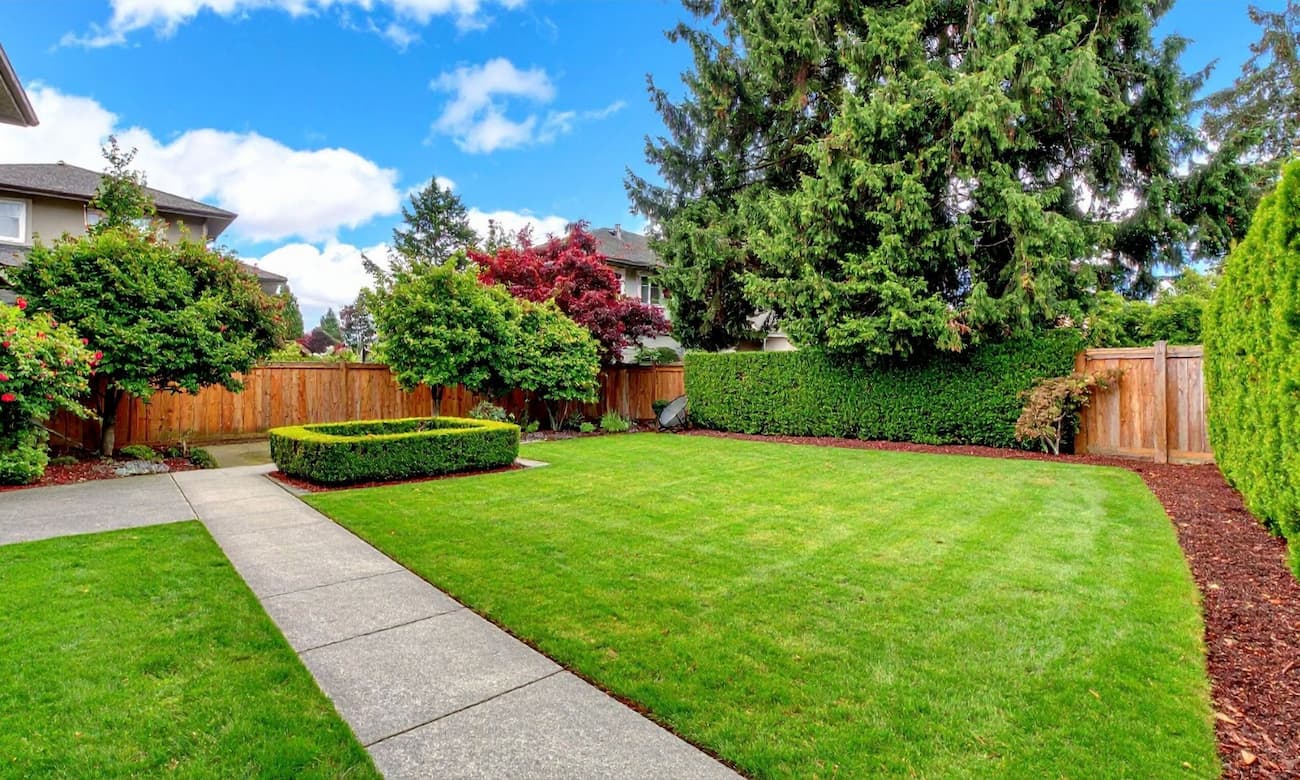 TMK Raleigh French Drain