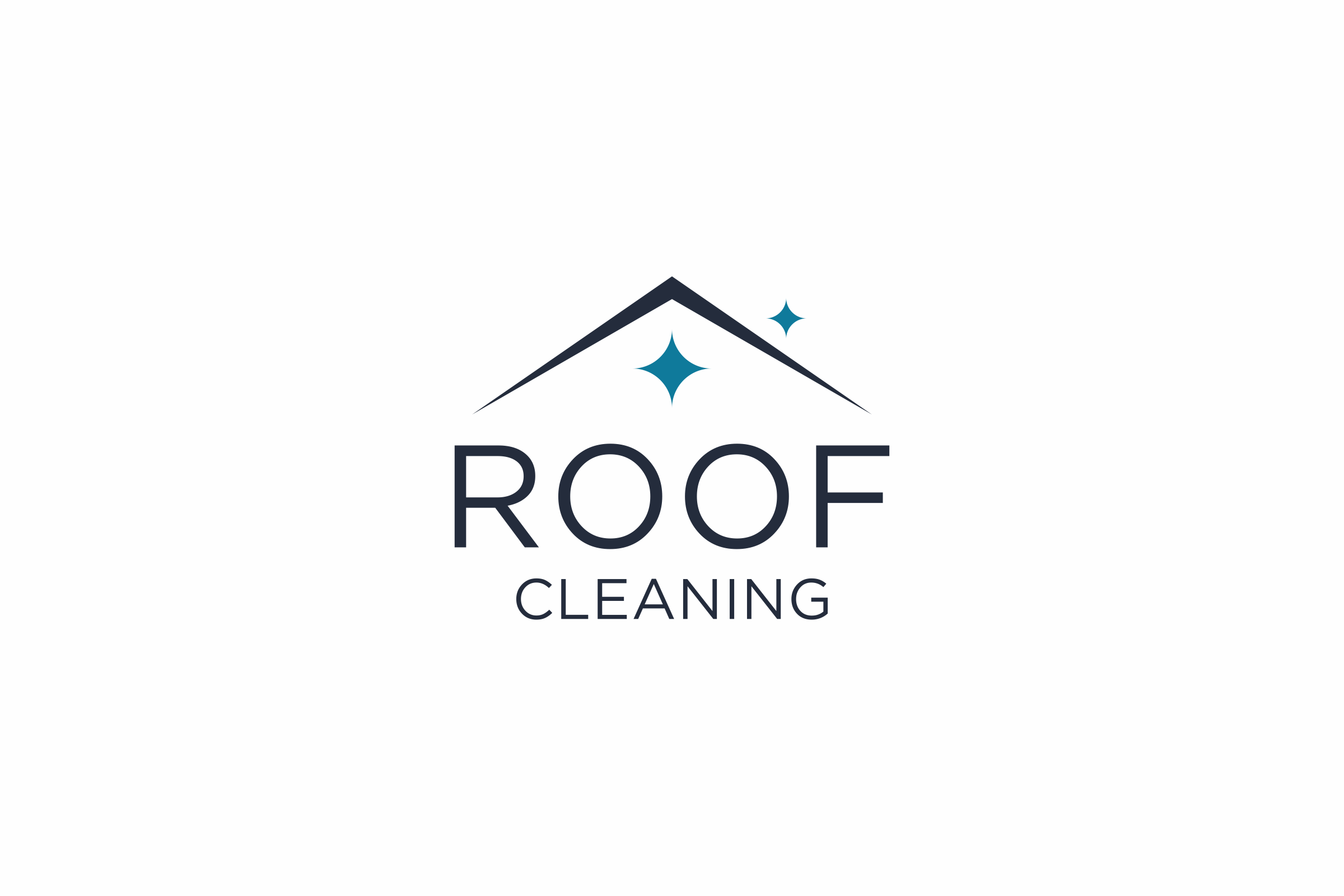 Roof Cleaning And Gutter Clearing Services