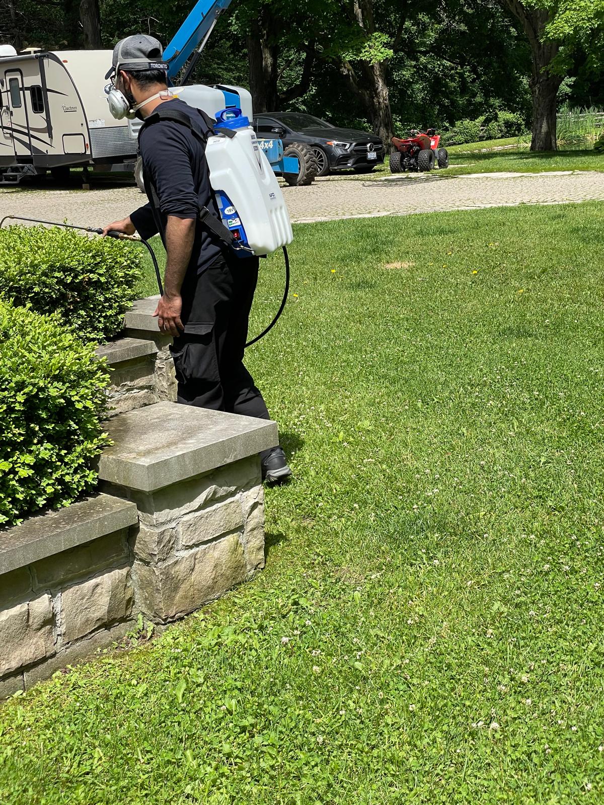 PESTBYE PEST CONTROL | Pest Control service in Scarborough