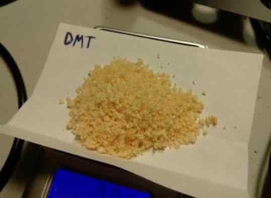 where to get dmt