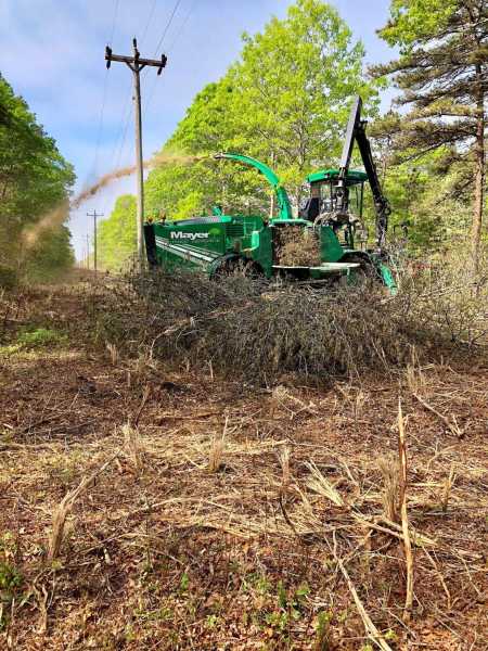 Complete Tree Care & Removal Service in Cambridge, MA