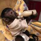 Three months Female/Male trained Capuchin